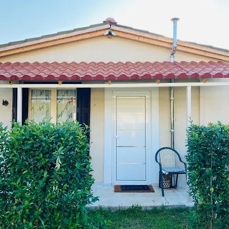 فيلة The Mansion Of Dionisos And Dimitras 6 *