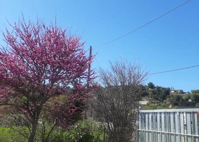 The Mansion Of Dionisos And Dimitras 6 *